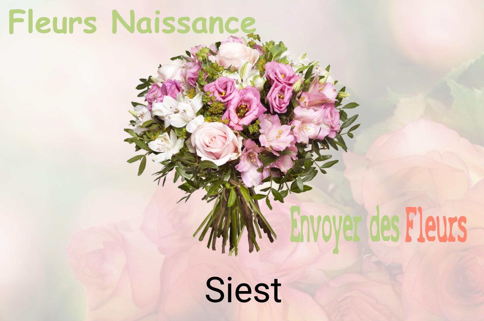 Bouquet de fleurs de naissance livré à Siest