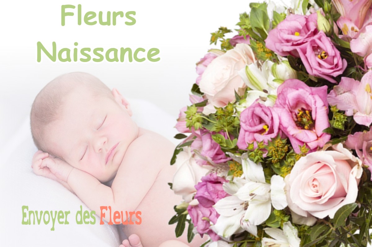 lIVRAISON FLEURS NAISSANCE à SIEST