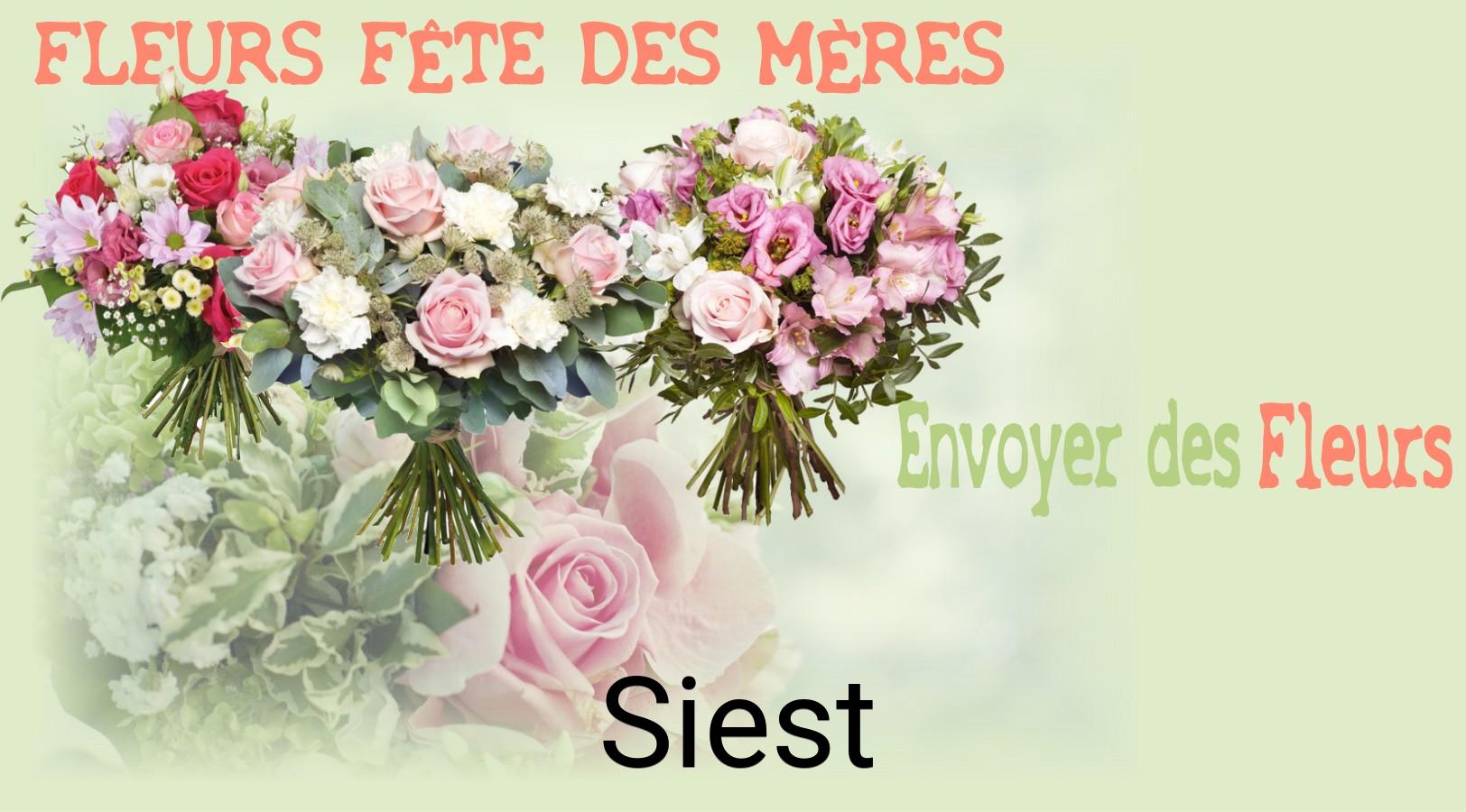 Bouquet de Fête des Mères livré à Siest